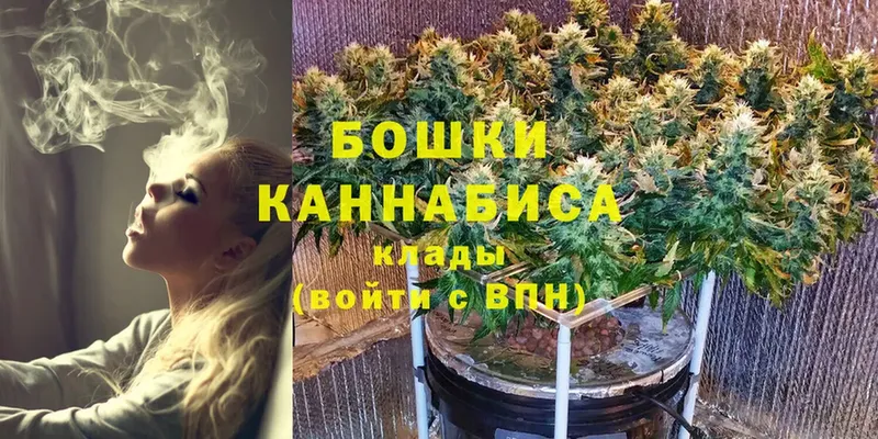 наркота  Ладушкин  Каннабис White Widow 